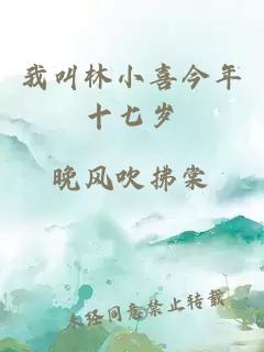 我叫林小喜今年十七岁