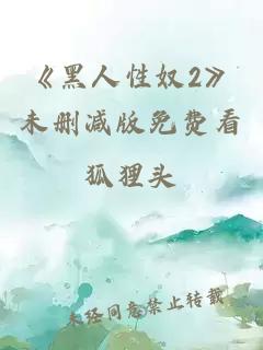 《黑人性奴2》未删减版免费看