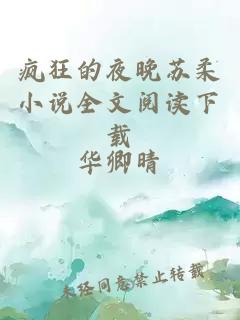 疯狂的夜晚苏柔小说全文阅读下载