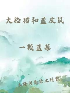 大脸猫和蓝皮鼠