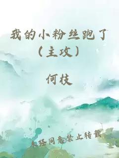 我的小粉丝跑了（主攻）