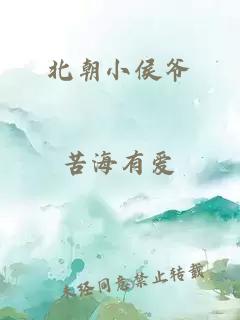 北朝小侯爷