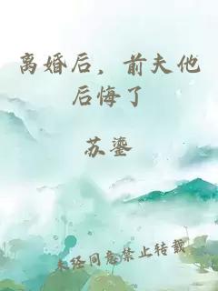 离婚后，前夫他后悔了