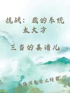 抗战：我的系统太大方