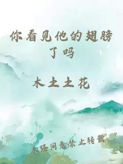 你看见他的翅膀了吗