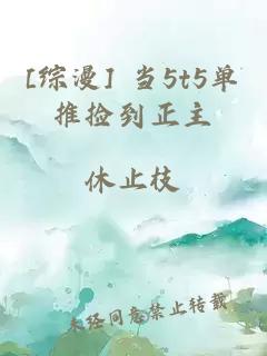 [综漫] 当5t5单推捡到正主