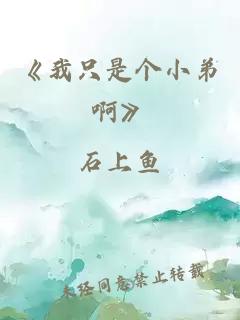 《我只是个小弟啊》