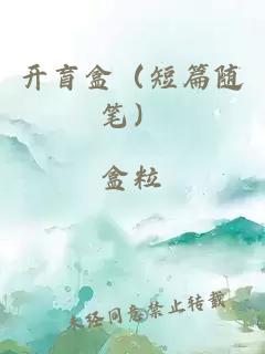 开盲盒（短篇随笔）