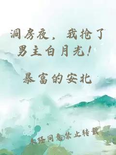 洞房夜，我抢了男主白月光！