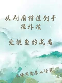从利用特性到手搓外挂