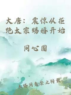 大唐：震惊从拒绝太宗赐婚开始