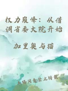 权力巅峰：从借调省委大院开始