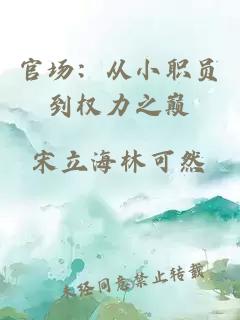 官场：从小职员到权力之巅