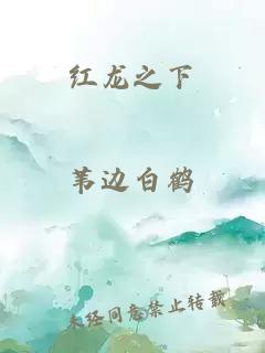 红龙之下