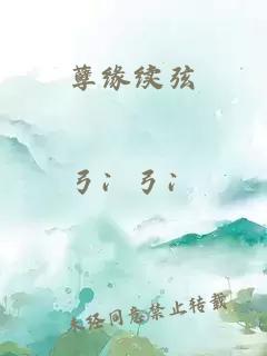 孽缘续弦