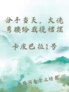 分手当天，大佬弯腰给我提裙摆