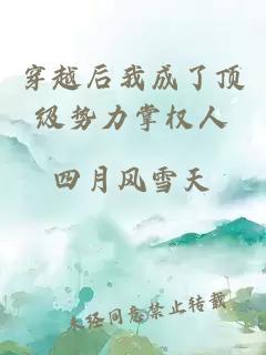 穿越后我成了顶级势力掌权人
