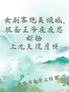 女刺客绝美倾城,双面王爷夜夜思断肠