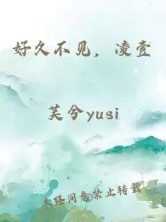 好久不见，凌壹