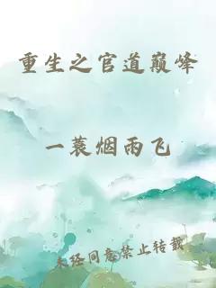 重生之官道巅峰