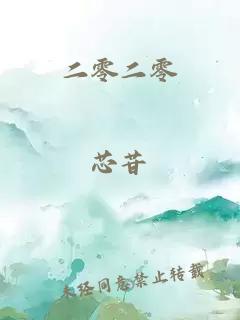 二零二零