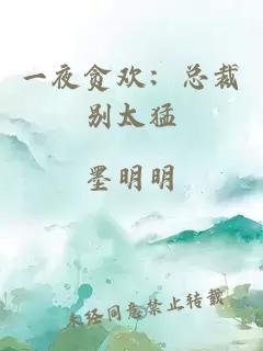 一夜贪欢：总裁别太猛