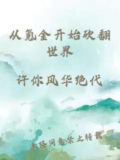 从氪金开始砍翻世界