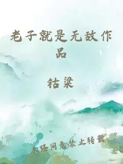 老子就是无敌作品
