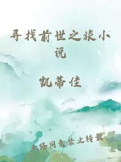 寻找前世之旅小说