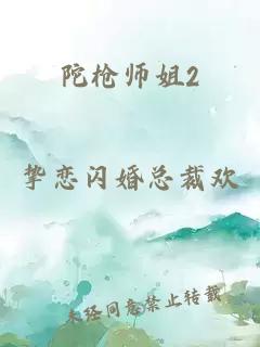 陀枪师姐2
