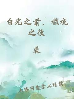 白光之前，燃烧之後