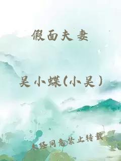 假面夫妻