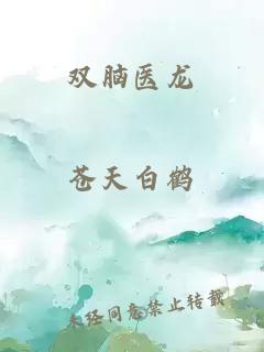 双脑医龙
